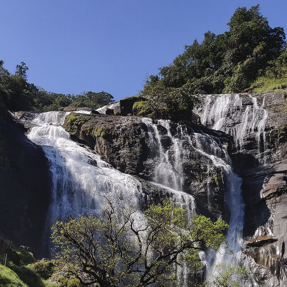 Waterfall,Water resources,Body of water,Natural landscape,Water,Nature,Vegetation,Watercourse,Nature reserve,Chute