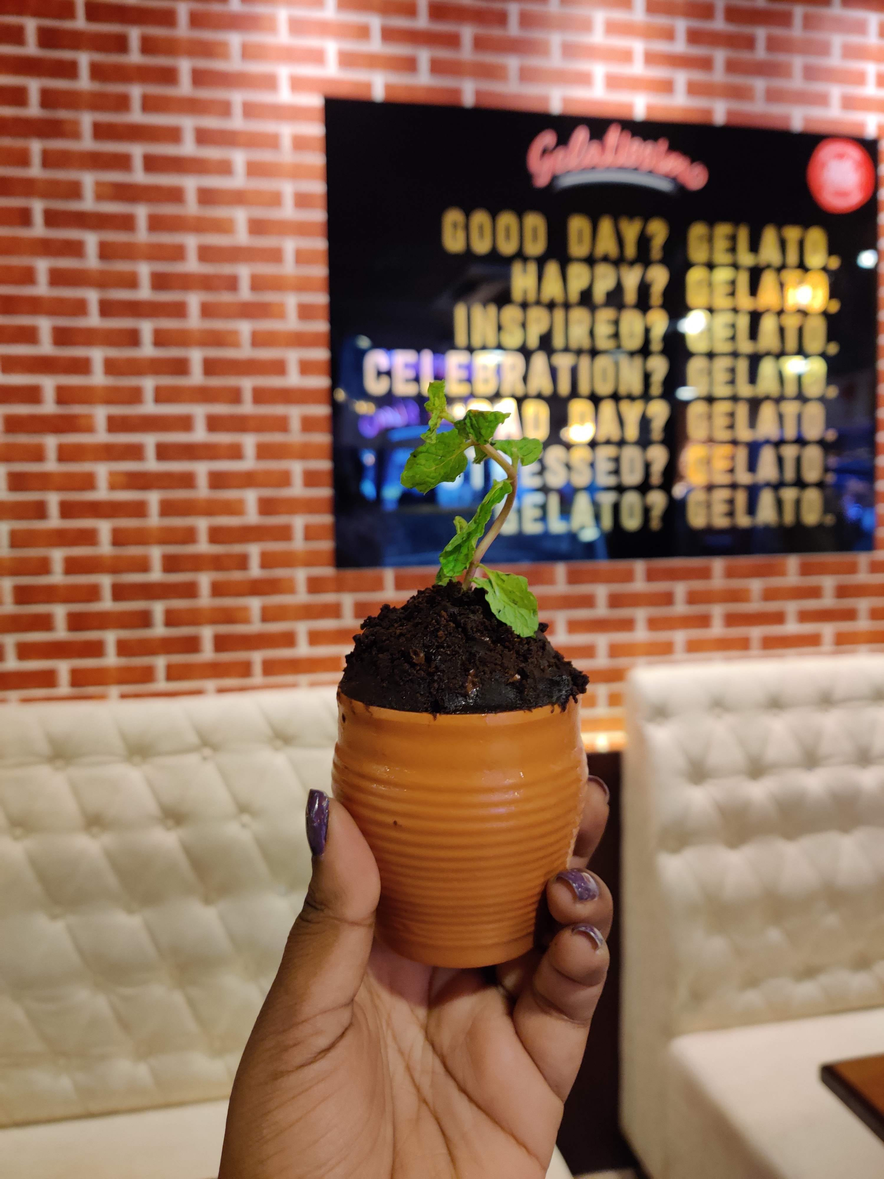 img-gallery-featured