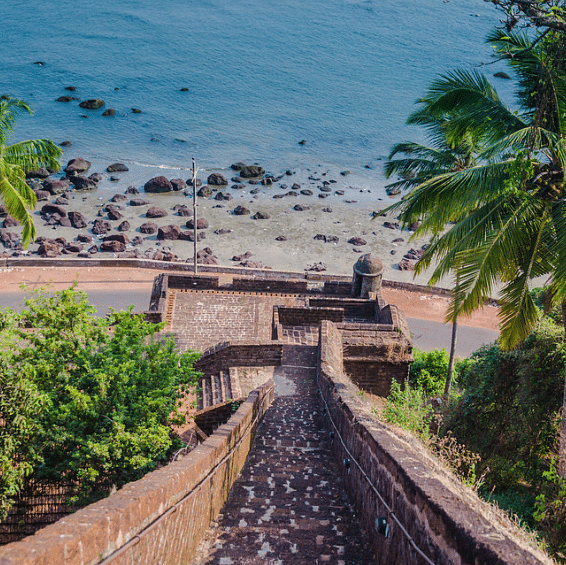 Tree,Walkway,Sky,Sea,Coast,Tourism,Shore,Vacation,Beach,Ocean