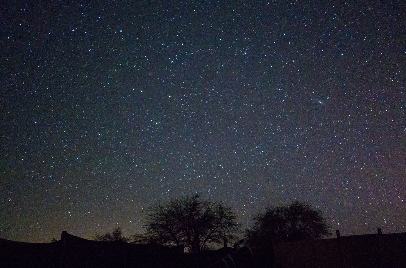 Sky,Night,Atmosphere,Astronomy,Star,Astronomical object,Tree,Constellation,Space,Horizon