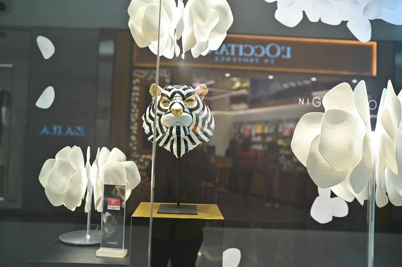 Display window,Display case,Design,Glass,Room,Retail,Interior design,Lighting accessory,Flower,Window
