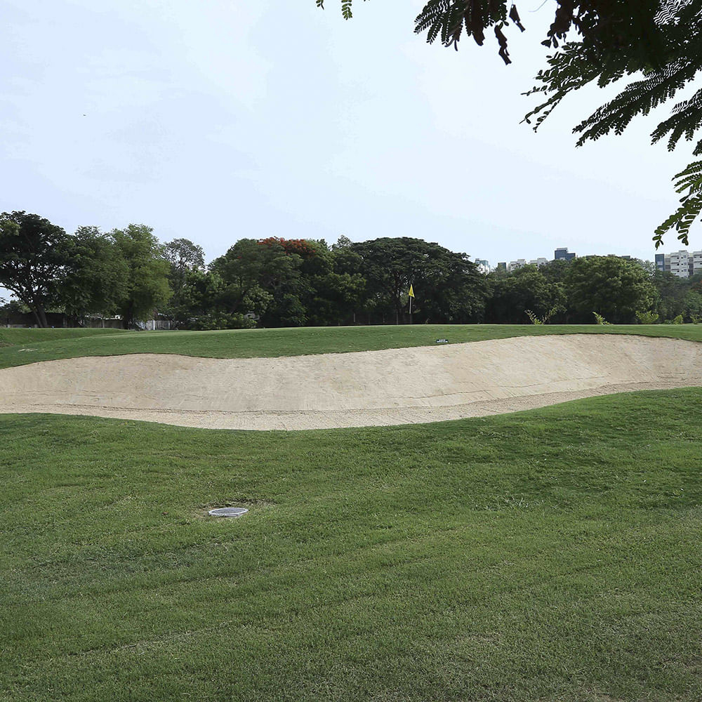 Sport venue,Grass,Green,Lawn,Land lot,Sky,Grassland,Tree,Golf course,Grass family