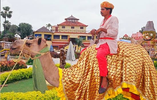 Camel,Camelid,Temple,Livestock