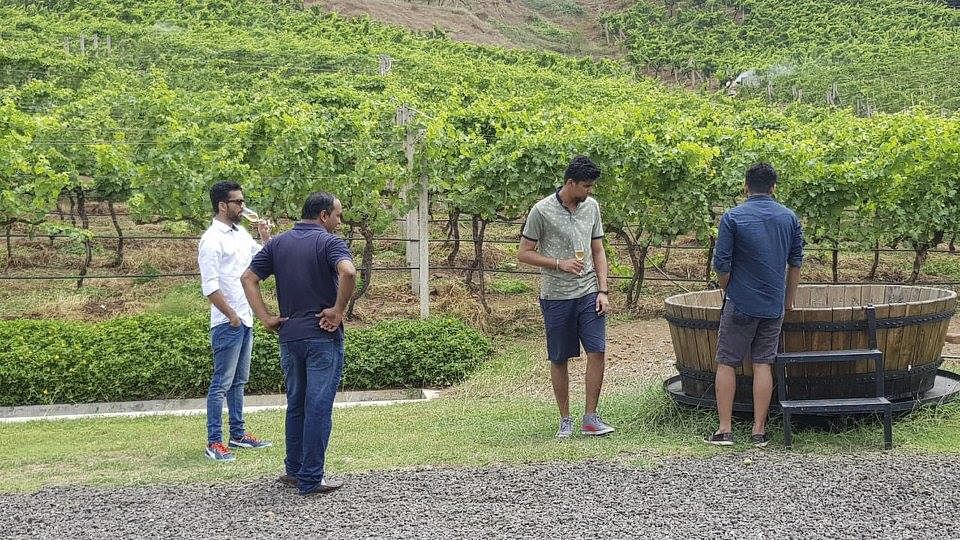 Plantation,Tree,Adaptation,Rural area,Plant,Tourism,Hill station,Soil,Leisure,Team