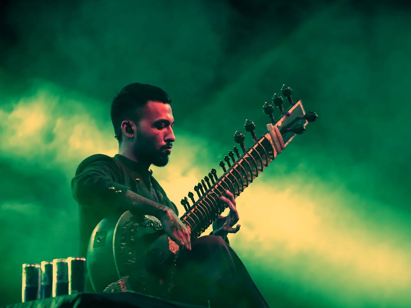 String instrument,Musical instrument,Sitar,Musician,String instrument,Music,Guitar,Plucked string instruments,Guitarist,Performance