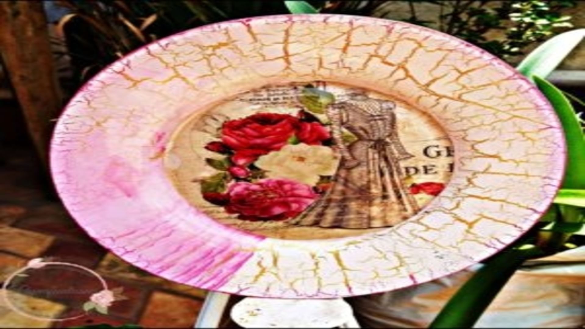 Pink,Plate,Garden roses,Glass,Dishware,Petal,Plant,Flower,Textile,Circle