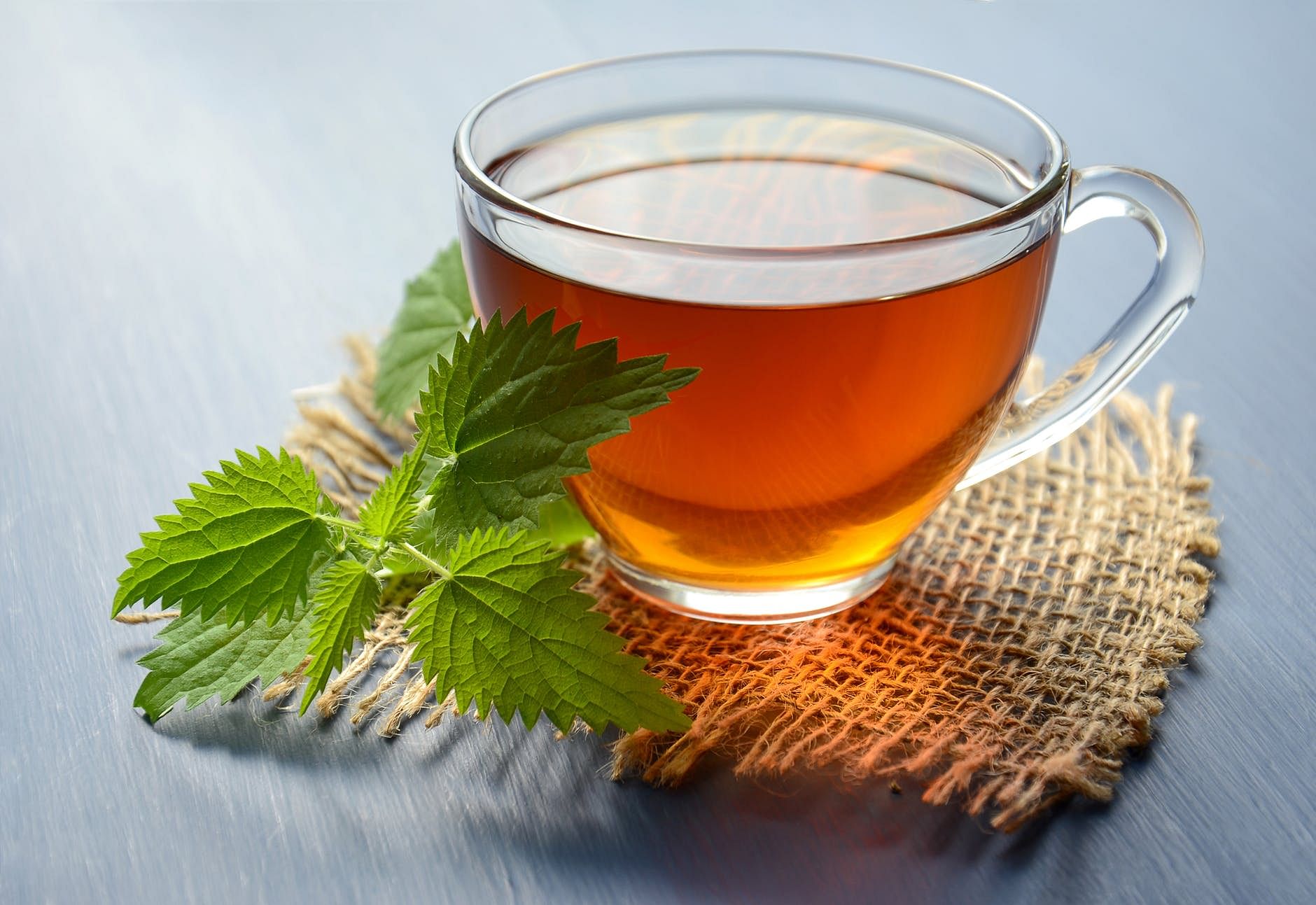 Chinese herb tea,Leaf,Drink,Roasted barley tea,Mint,Herb,Earl grey tea,Plant,Grog,Green tea