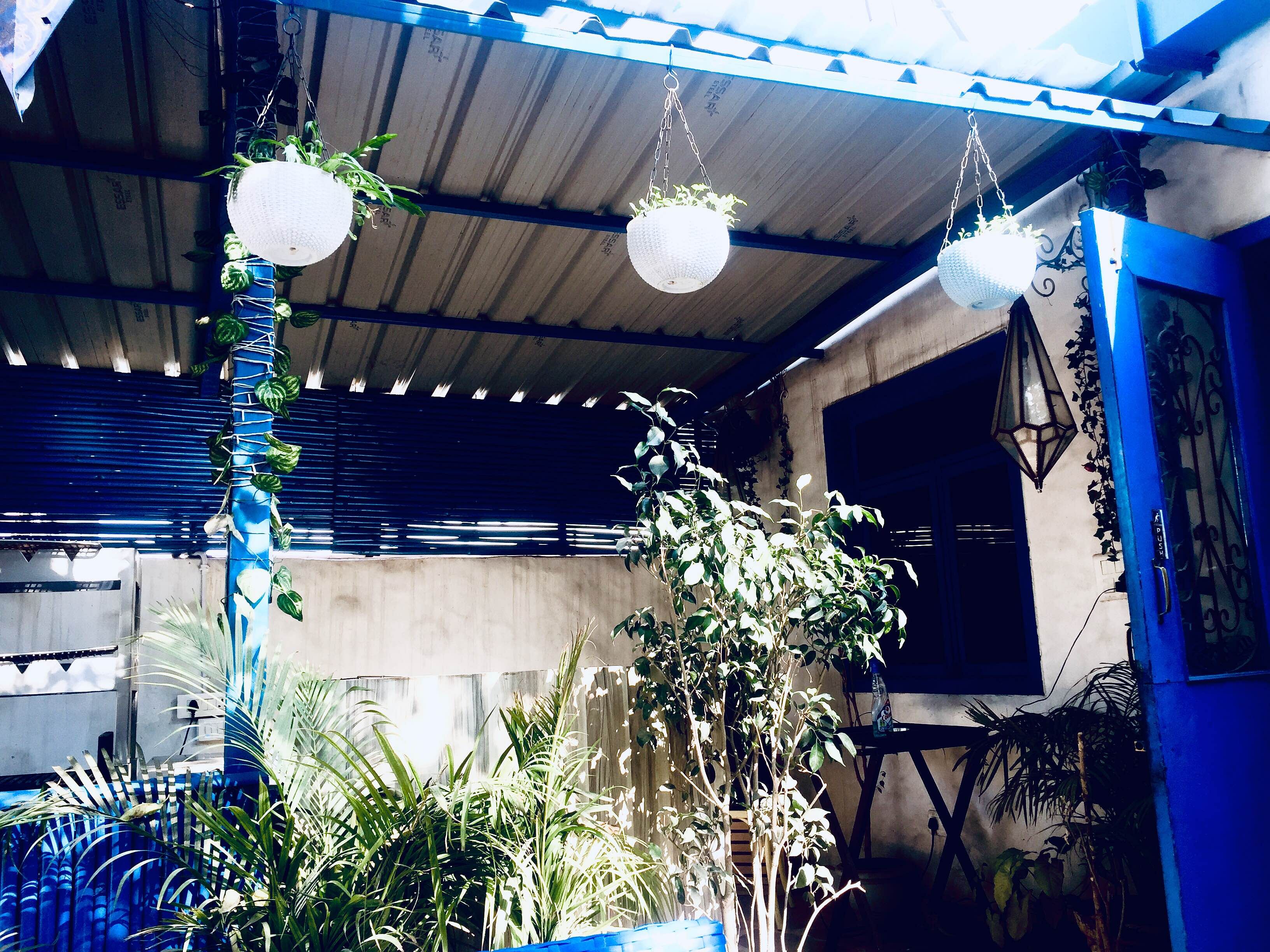 Blue,Majorelle blue,Sky,Light,Lighting,Iron,Architecture,Ceiling,Plant,Tree