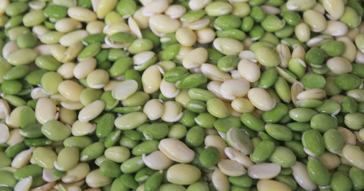 Food,Lima bean,Plant,Legume,Ingredient,Pea,Bean,Vegetable,Legume family,Cuisine