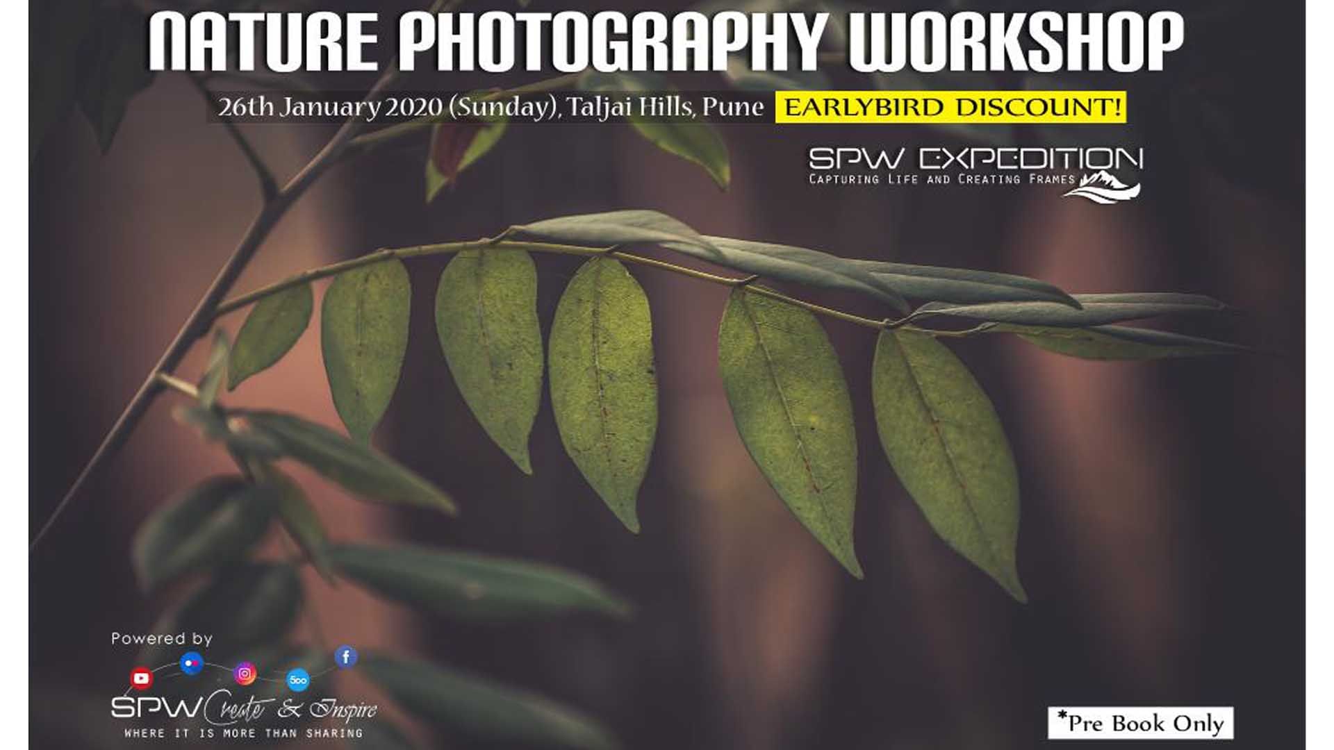 Leaf,Plant,Tree,Organism,Adaptation,Botany,Terrestrial plant,Flower,Gnetae,Science