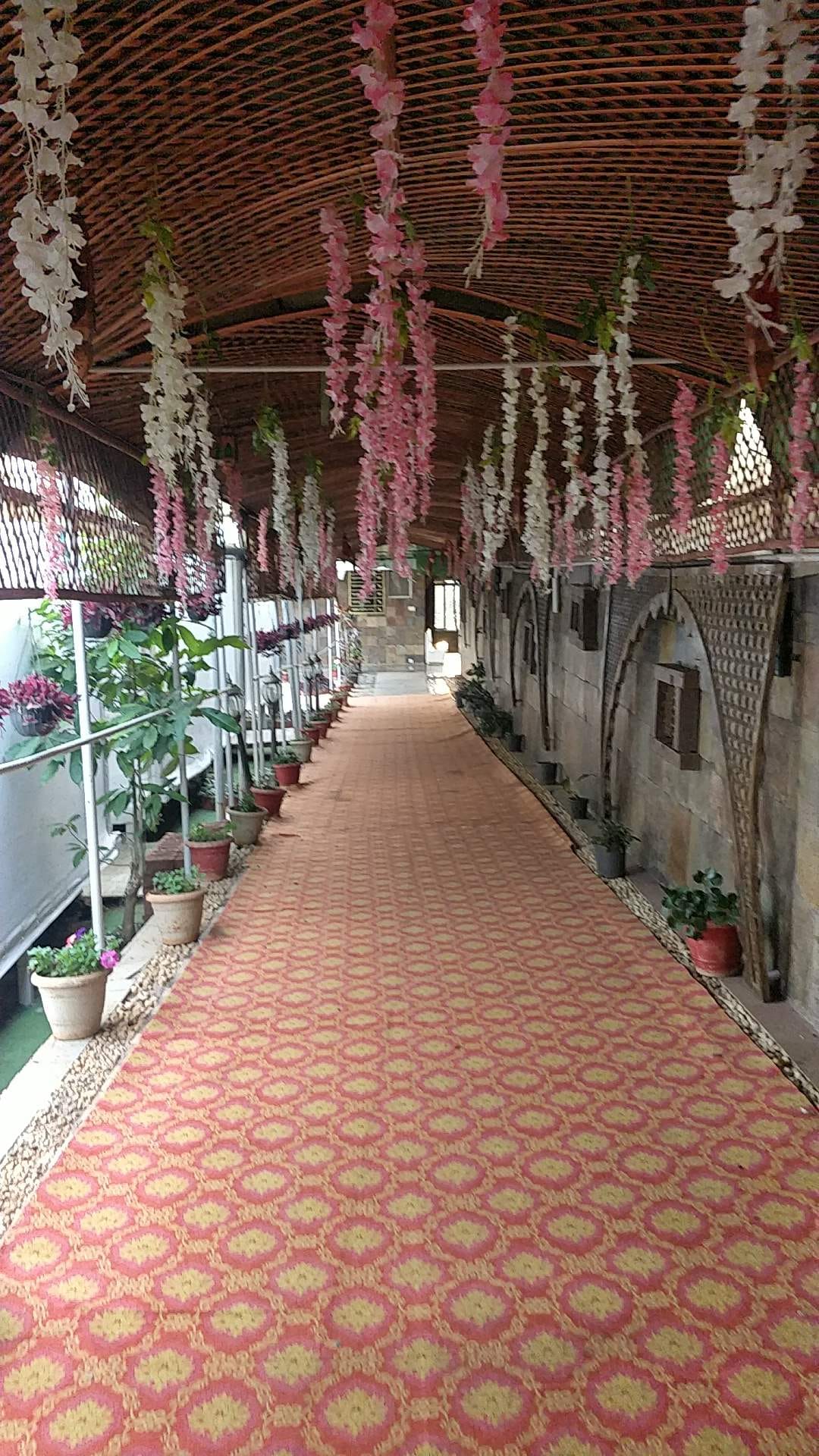 Aisle,Walkway,Building,Architecture,Plant