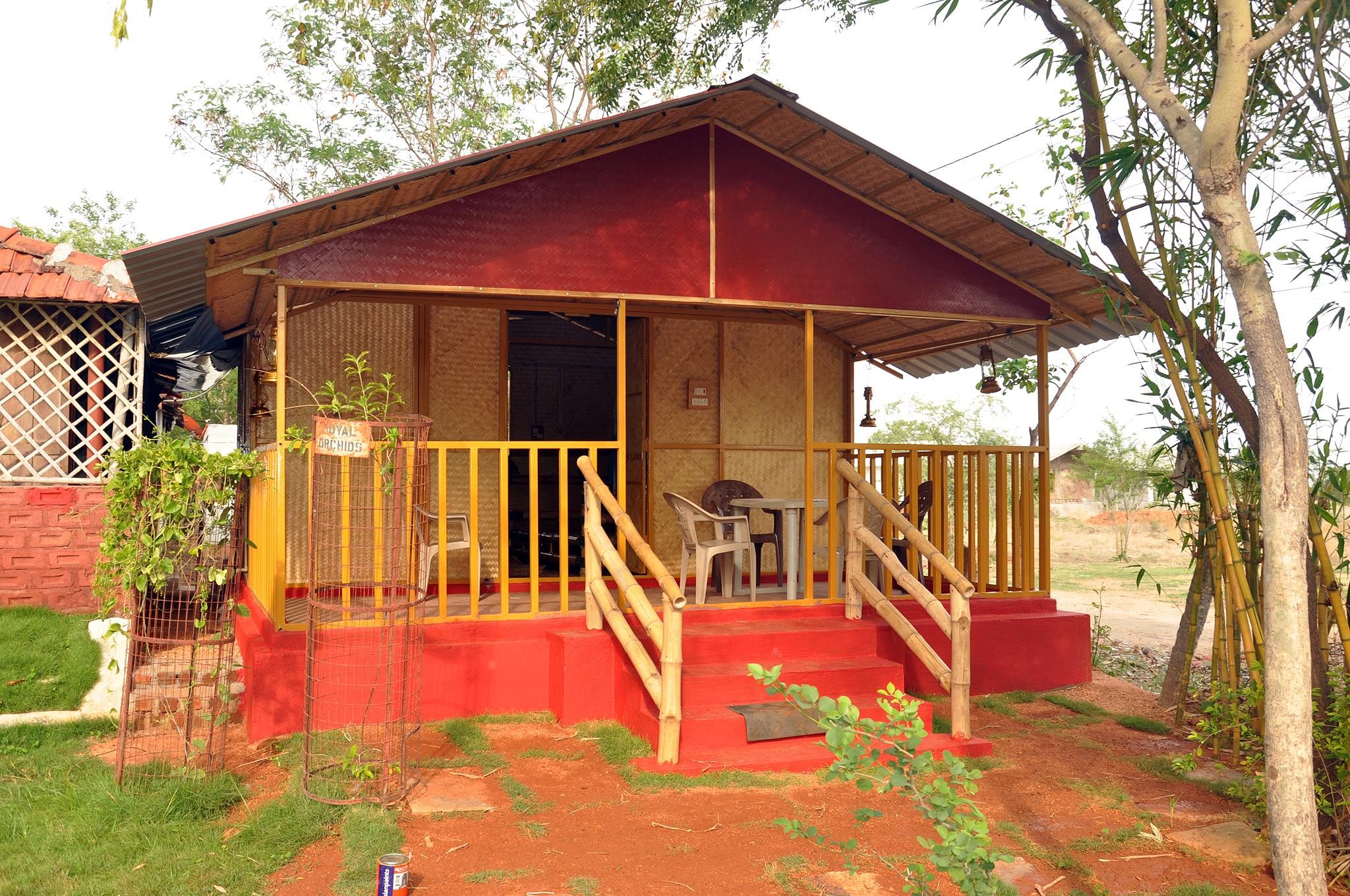 House,Property,Cottage,Building,Home,Log cabin,Shed,Room,Roof,Tree