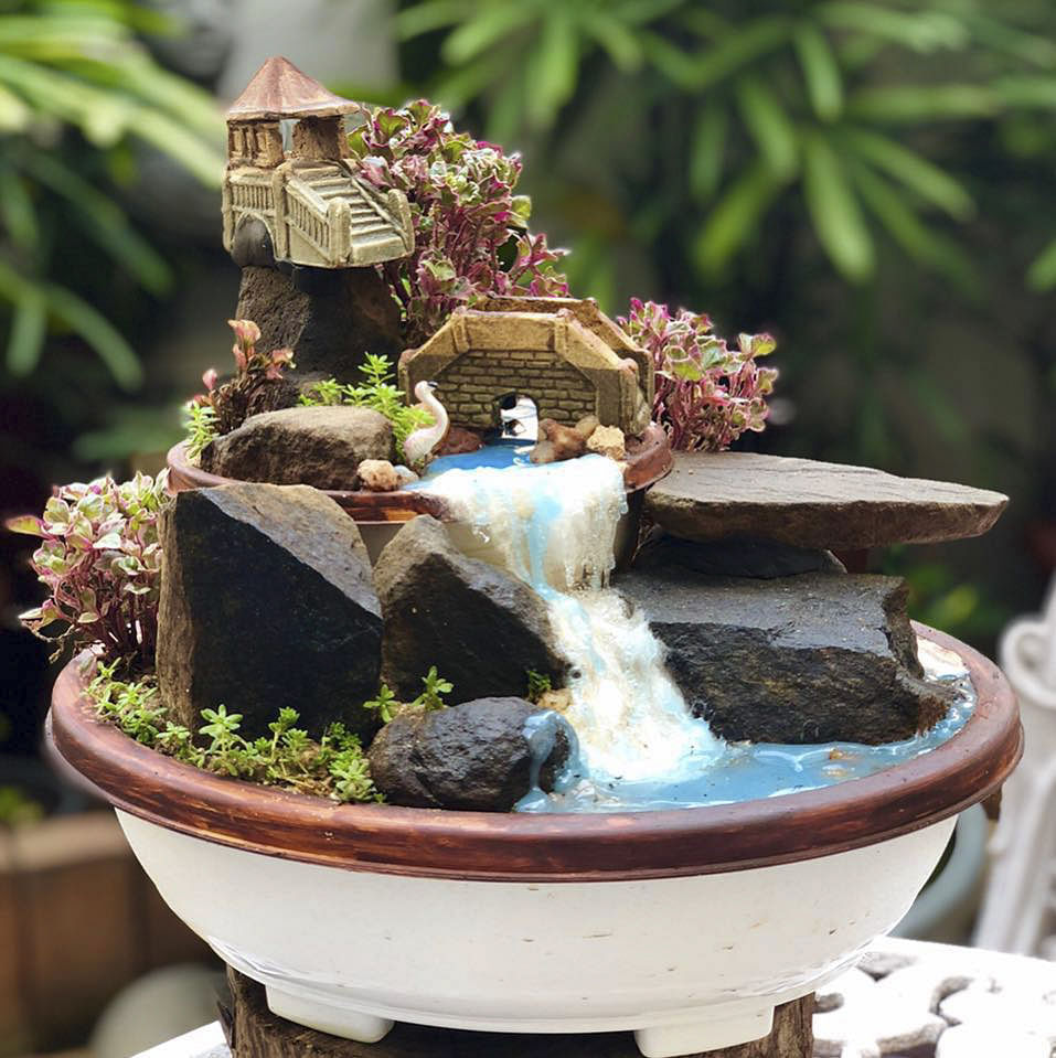 Houseplant,Flowerpot,Fountain,Water feature,Plant,Bonsai,Flower,Miniature