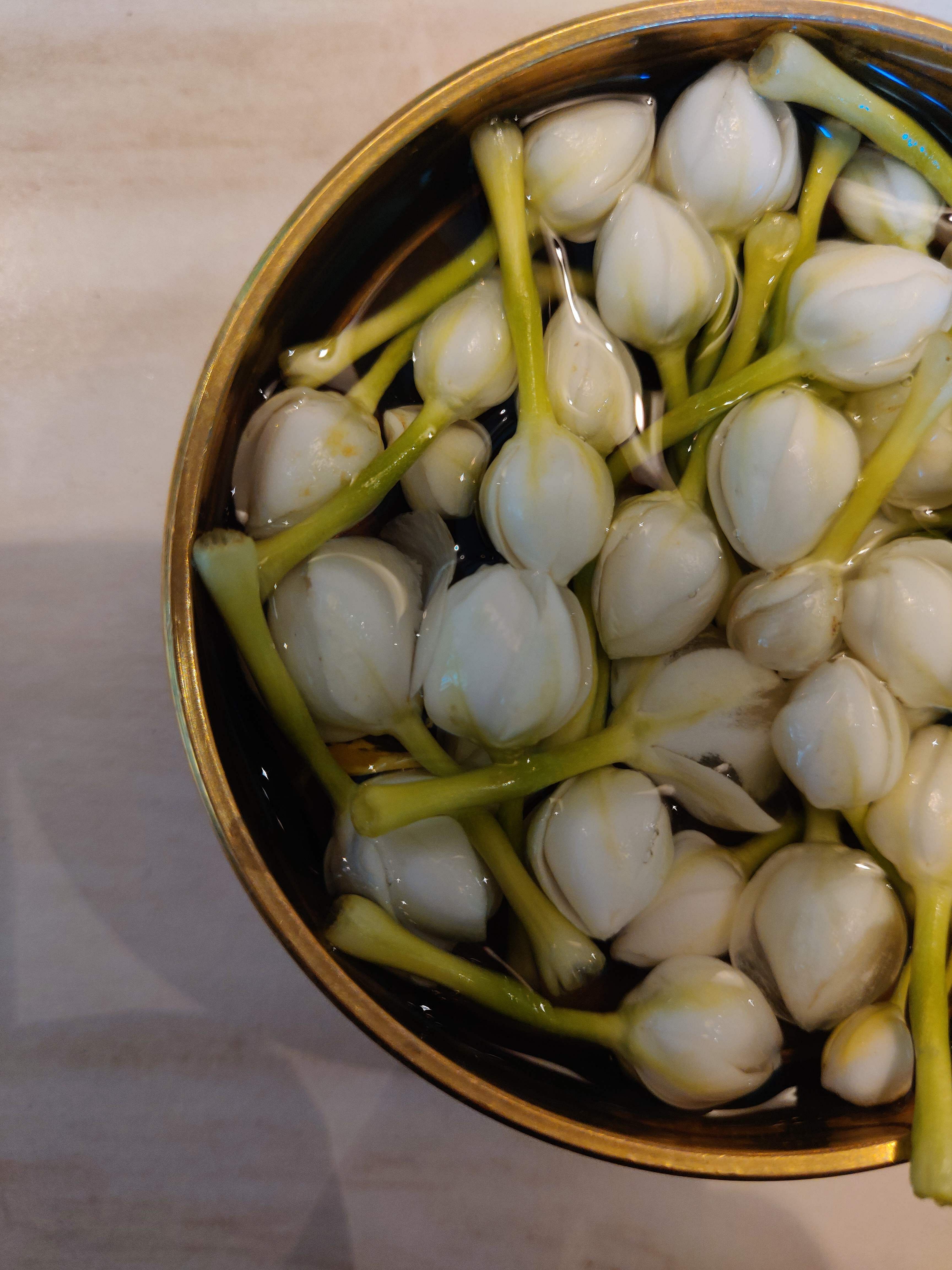 Food,Elephant garlic,Vegetable,Ingredient,Plant,Produce,Cuisine,Dish,Garlic,Allium