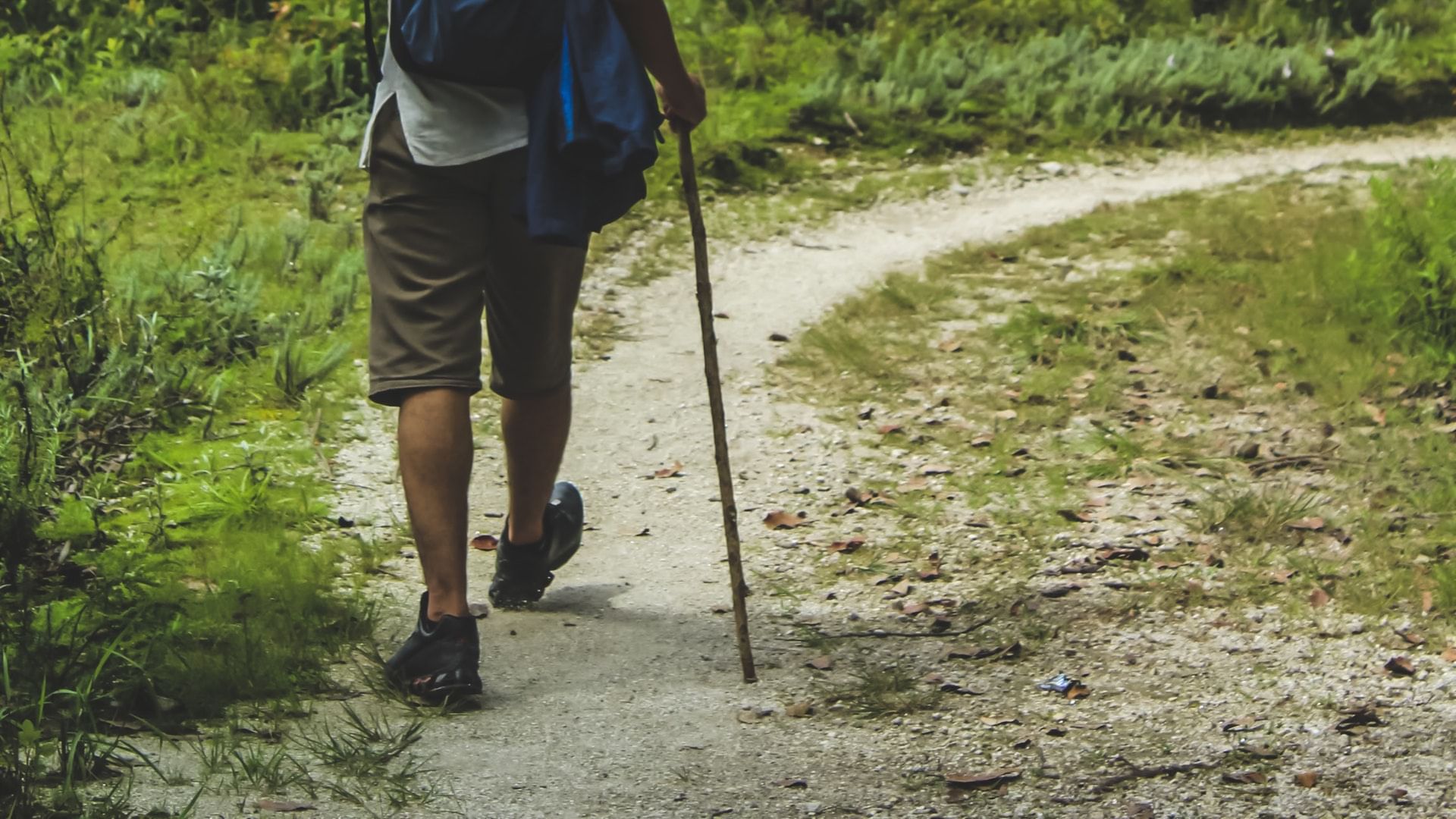 Trekking pole,Hiking equipment,Walking,Trail,Nordic walking,Leg,Recreation,Soil,Grass,Tree