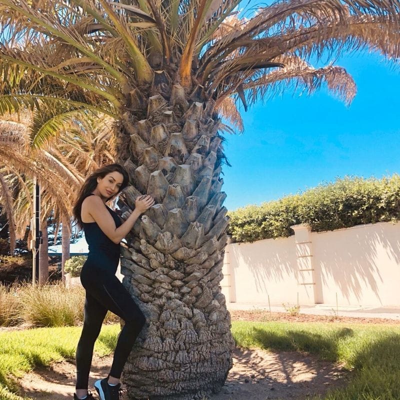 Tree,Palm tree,Arecales,Plant,Woody plant,Date palm,Botany,Fun,Vacation,Fruit