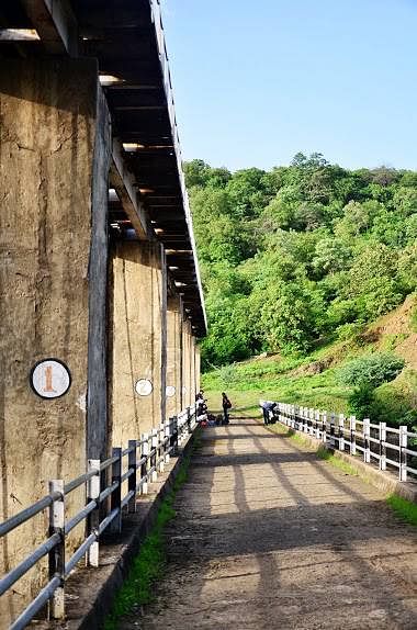 Architecture,Bridge,Tree,Walkway,Landscape,Plant,Road,Thoroughfare,Building,Leisure