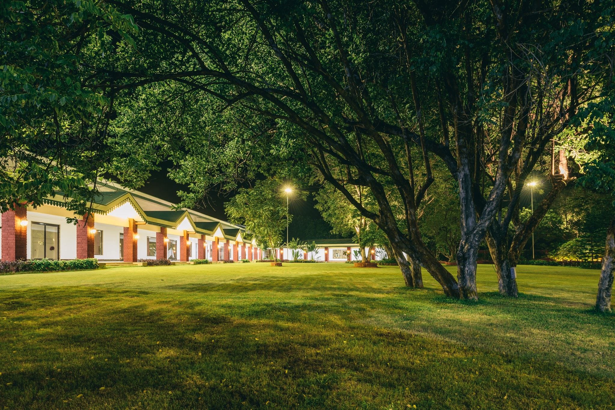 Tree,Green,Grass,House,Property,Light,Home,Lawn,Architecture,Morning