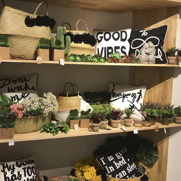 Shelf,Houseplant,Shelving,Floristry,Plant,Room,Interior design,Herb,Building