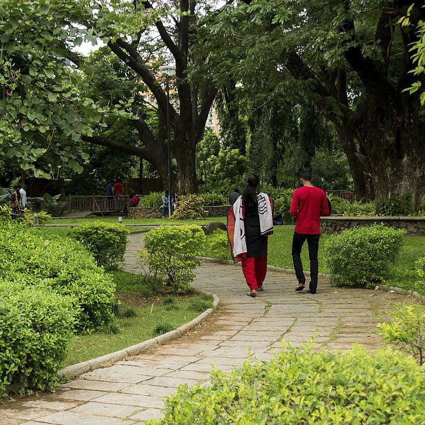 Garden,Botanical garden,Tree,Botany,Walking,Leisure,Spring,Shrub,Plant,Tourism