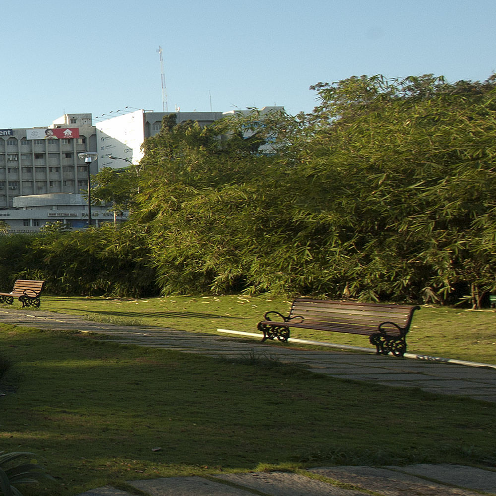 Grass,Tree,Architecture,Road,Vehicle,Landscape,Lawn,City