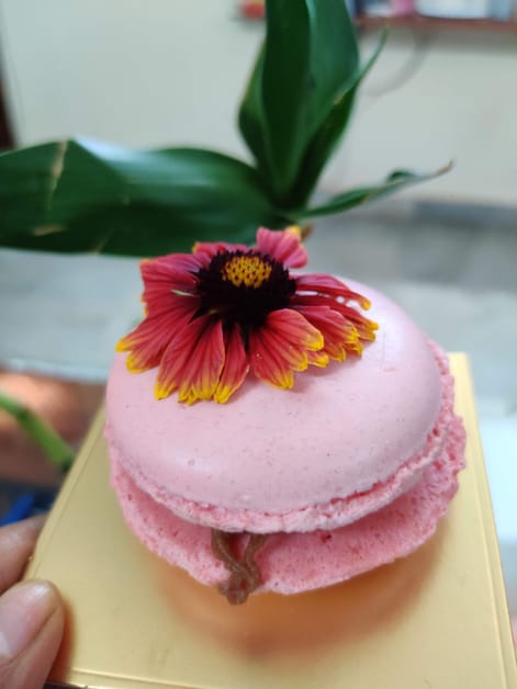 All The Sweet Tooths, Check Out This New Patisserie To Soothe Your Soul | LBB