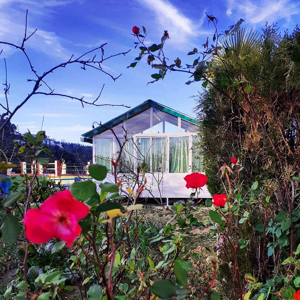 Sky,Flower,Plant,House,Rural area,Wheel,Spring,Wildflower,Home,Petal