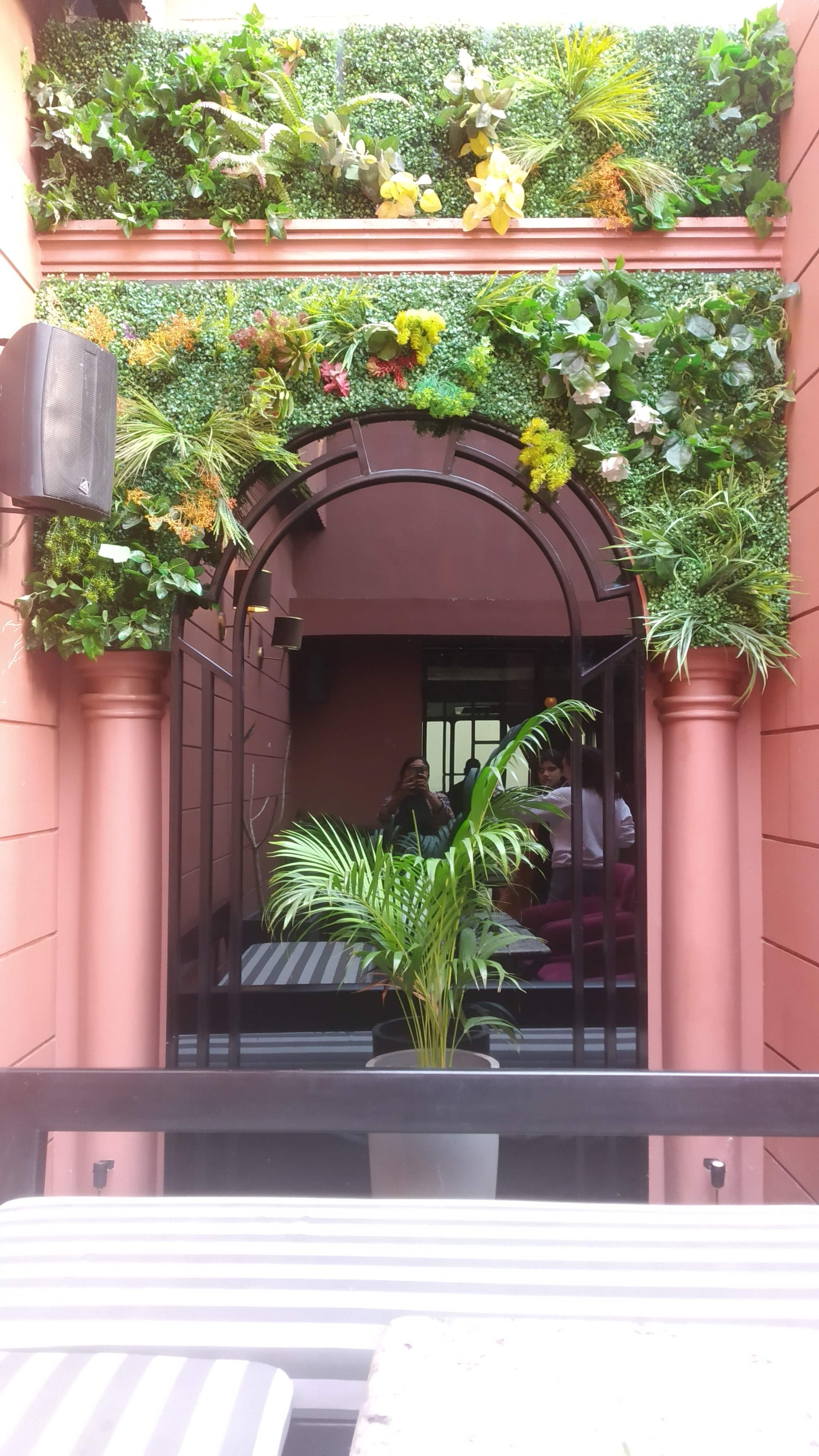 Architecture,Botany,Arch,Plant,Flower,Flowerpot,Window,Building,Houseplant,Balcony