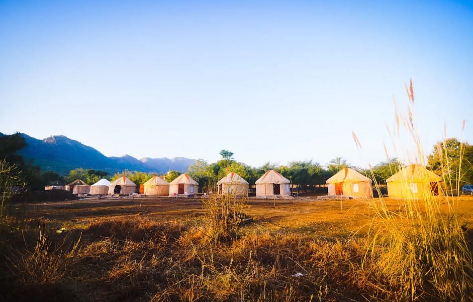 Nature,Sky,Natural landscape,Grassland,Grass,Morning,Rural area,Grass family,Landscape,Field