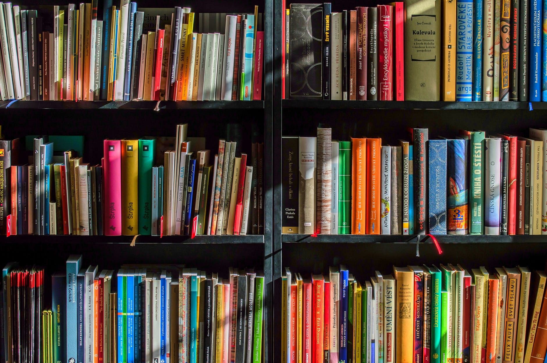 Shelving,Bookcase,Shelf,Book,Publication,Library,Bookselling,Furniture,Cyclone,Collection