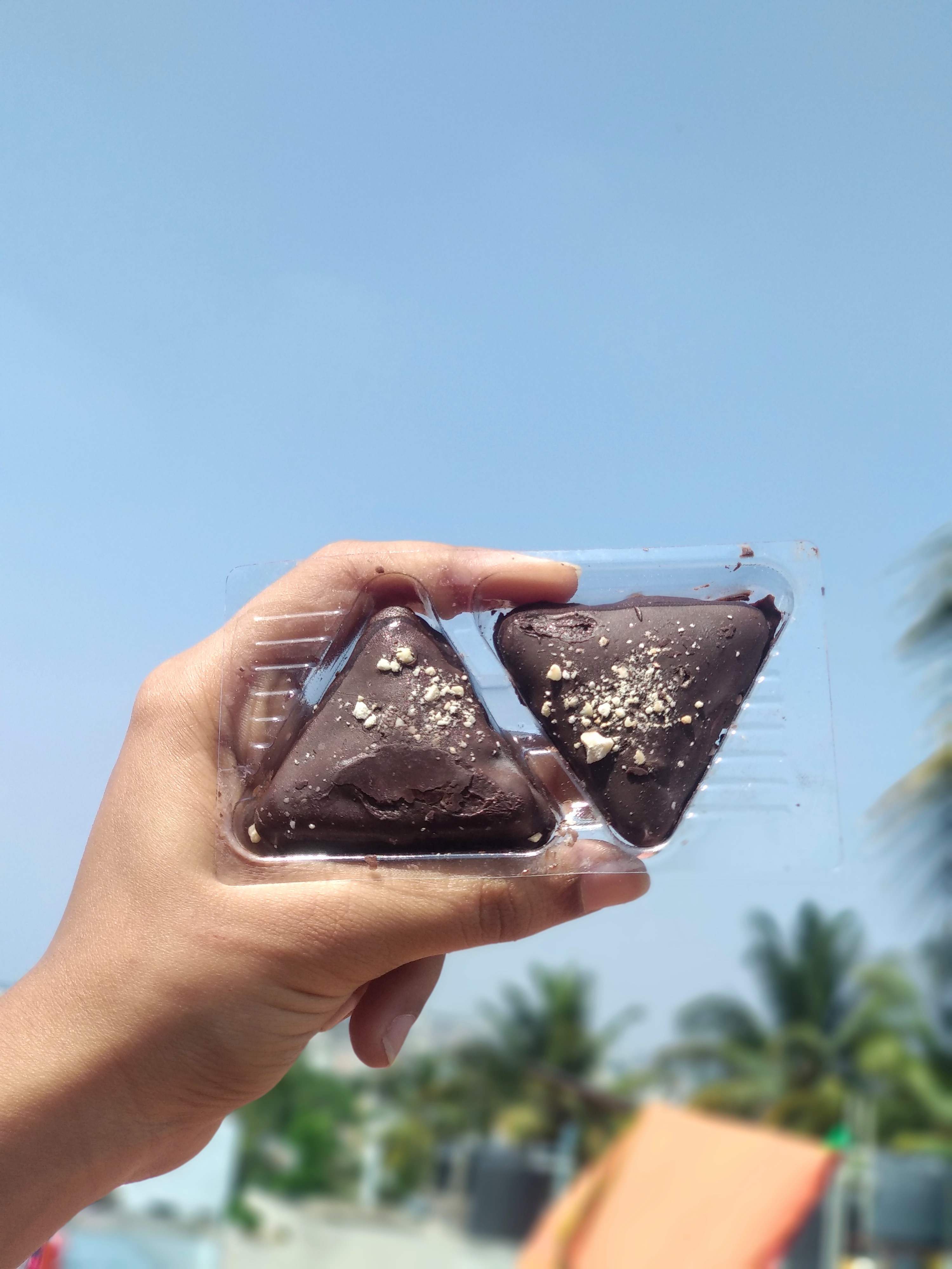 Hand,Soil,Chocolate,Organism,Rock,Photography,Vacation