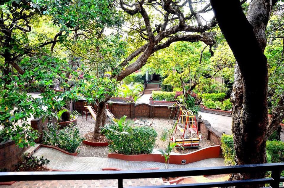 Nature,Tree,Vegetation,Botany,Plant,Garden,Woody plant,Real estate,Spring,Houseplant