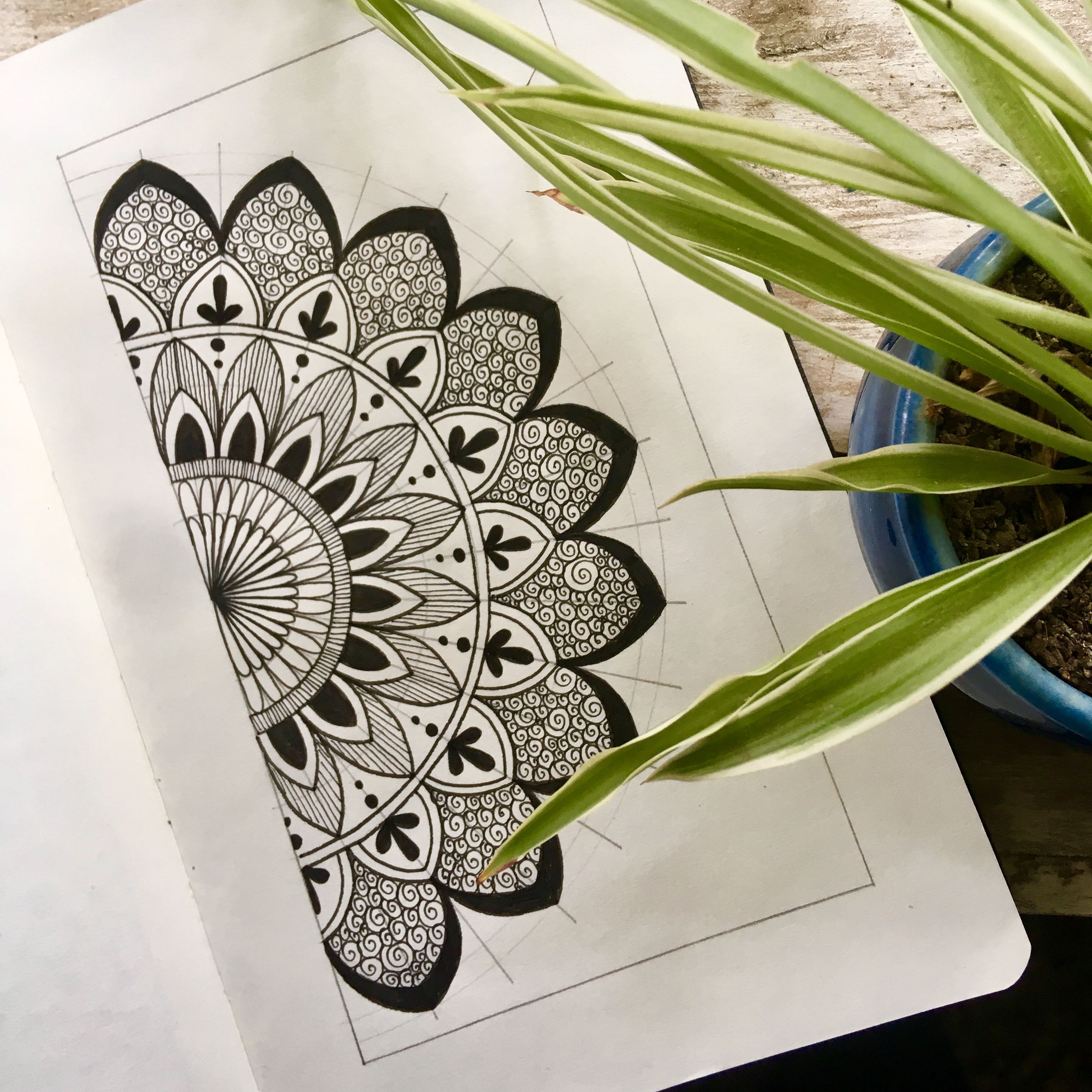 Design,Leaf,Drawing,Pattern,Illustration,Plant,Doodle,Printmaking,Visual arts,Graphic design