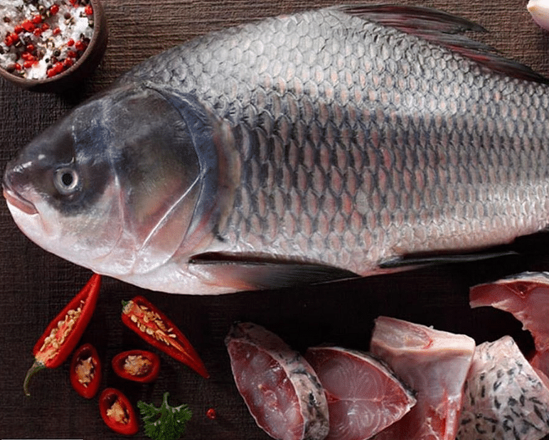 Fish,Fish,Fish products,Tilapia,Oily fish,Seafood,Tilapia,Bony-fish,Food,Carp