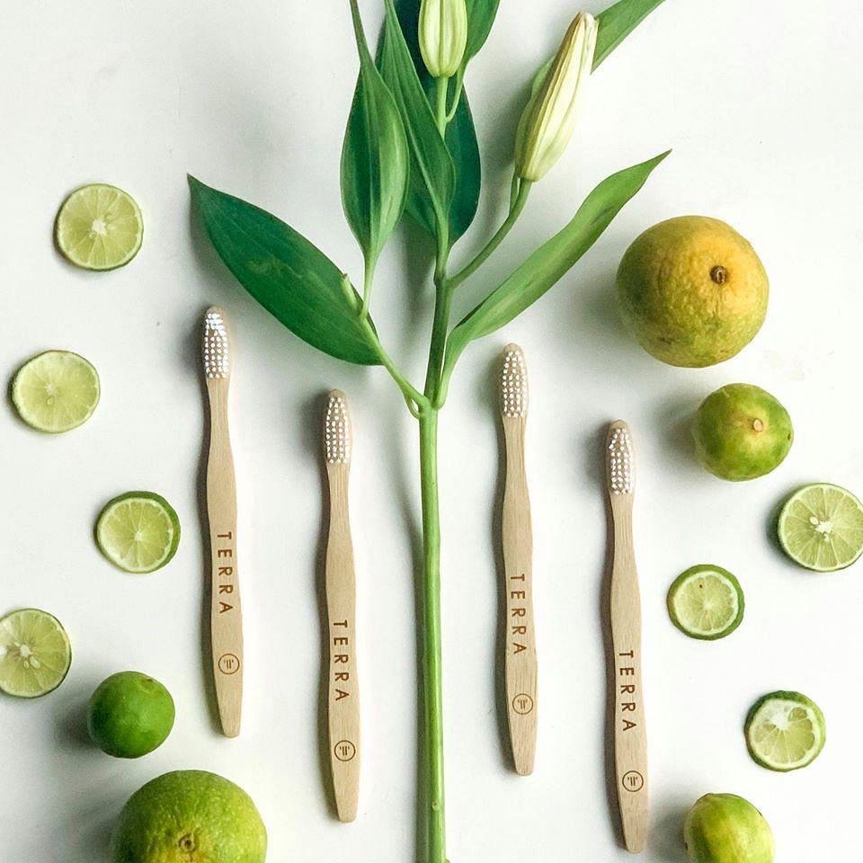 Key lime,Lime,Persian lime,Plant,Citrus,Fruit,Tree,Food,Sweet lemon,Lemon