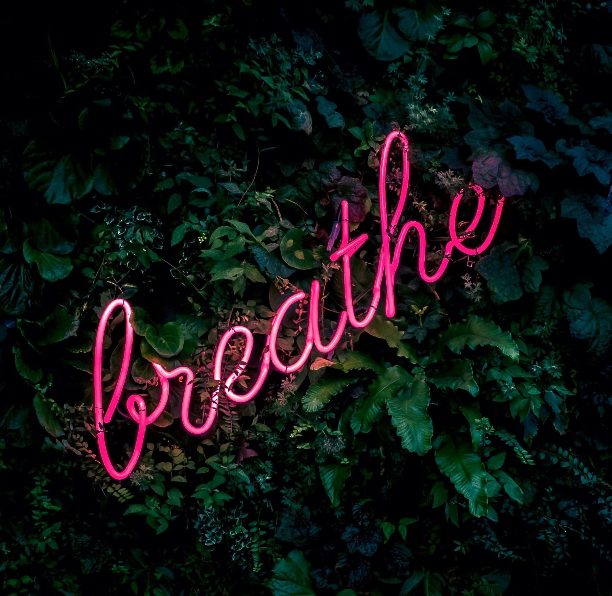 Text,Font,Graphic design,Graphics,Plant,Calligraphy,Logo