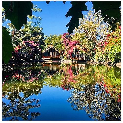 Reflection,Nature,Natural landscape,Sky,Water,Tree,Leaf,Botany,Pond,Plant