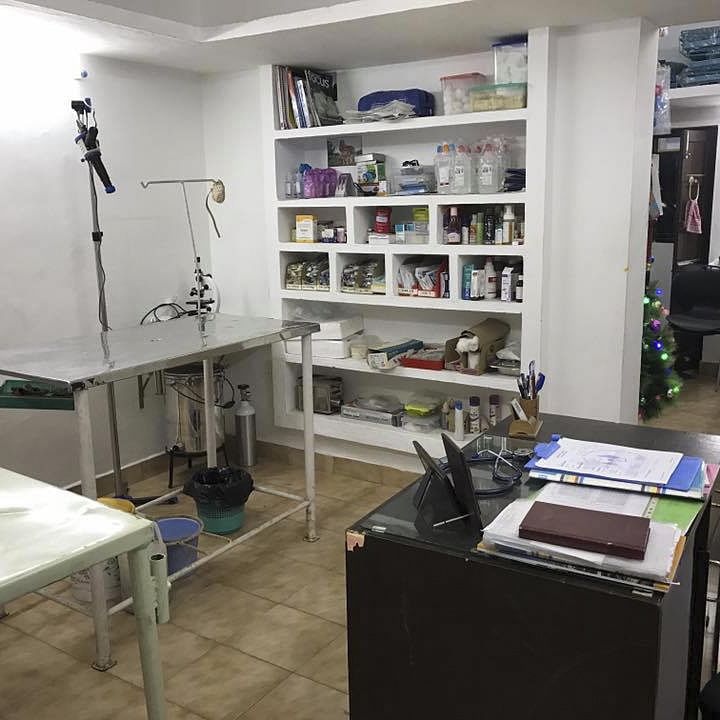 Shelf,Room,Shelving,Building,Furniture,Interior design,Office,Bookcase,Desk,Computer desk