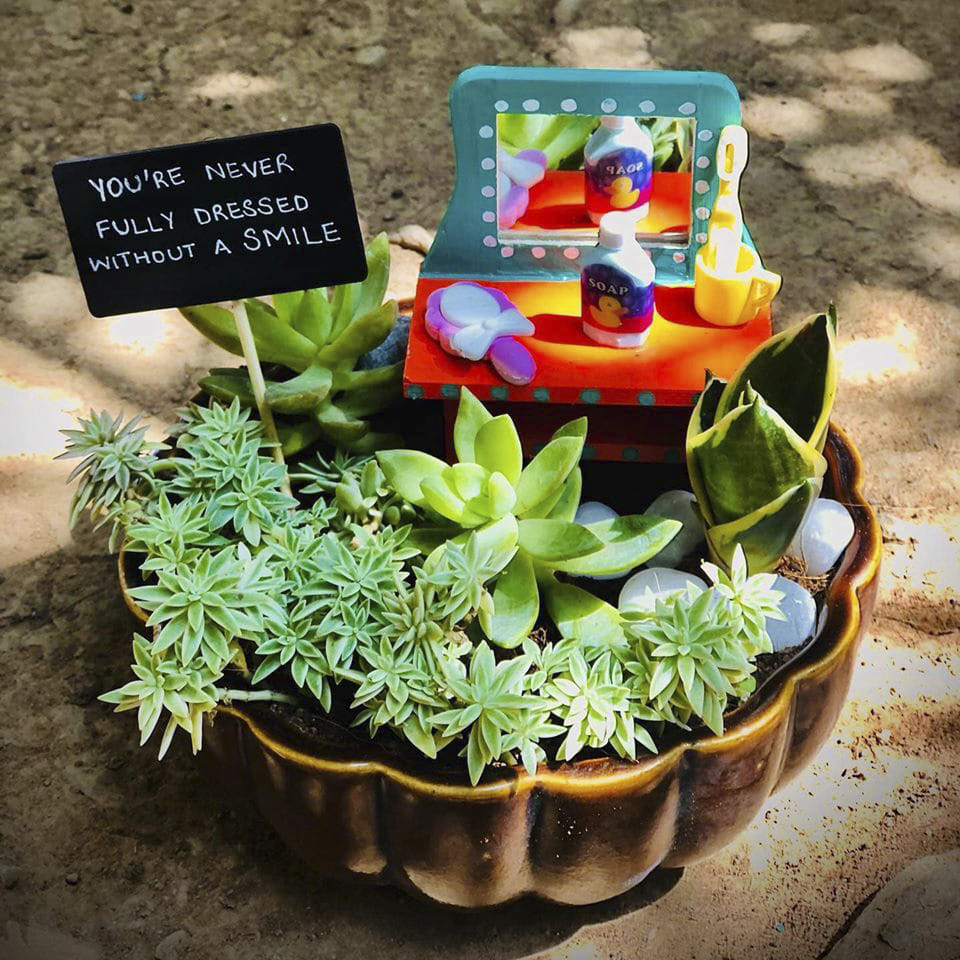 Flowerpot,Flower,Plant,Leaf,Echeveria,Houseplant,Stonecrop family,Herb,Succulent plant