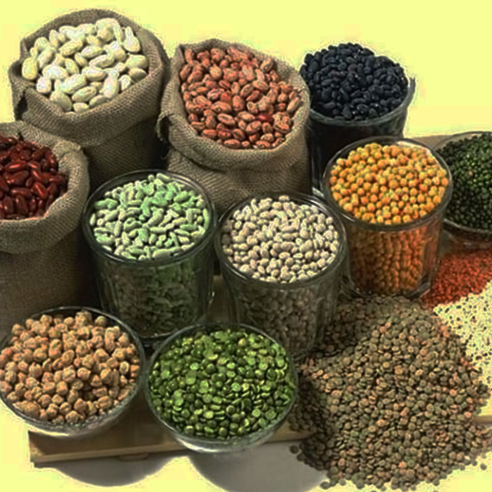 Natural foods,Legume,Food,Superfood,Plant,Lentil,Spice,Ingredient,Vegetable,Dal
