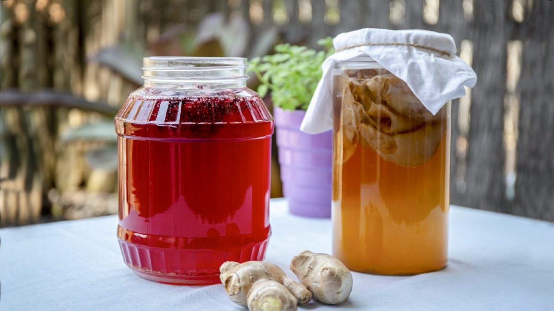 Food,Ingredient,Canning,Mason jar,Preserved food,Kombucha,Ginger,Switchel,Pickled egg,Produce