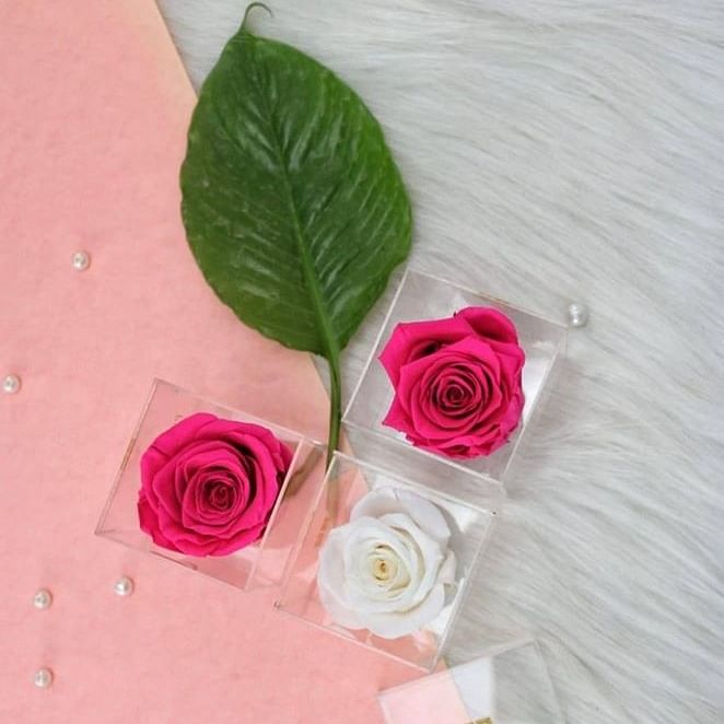 Flower,Pink,Garden roses,Rose,Petal,Cut flowers,Rose family,Plant,Artificial flower,Flowering plant