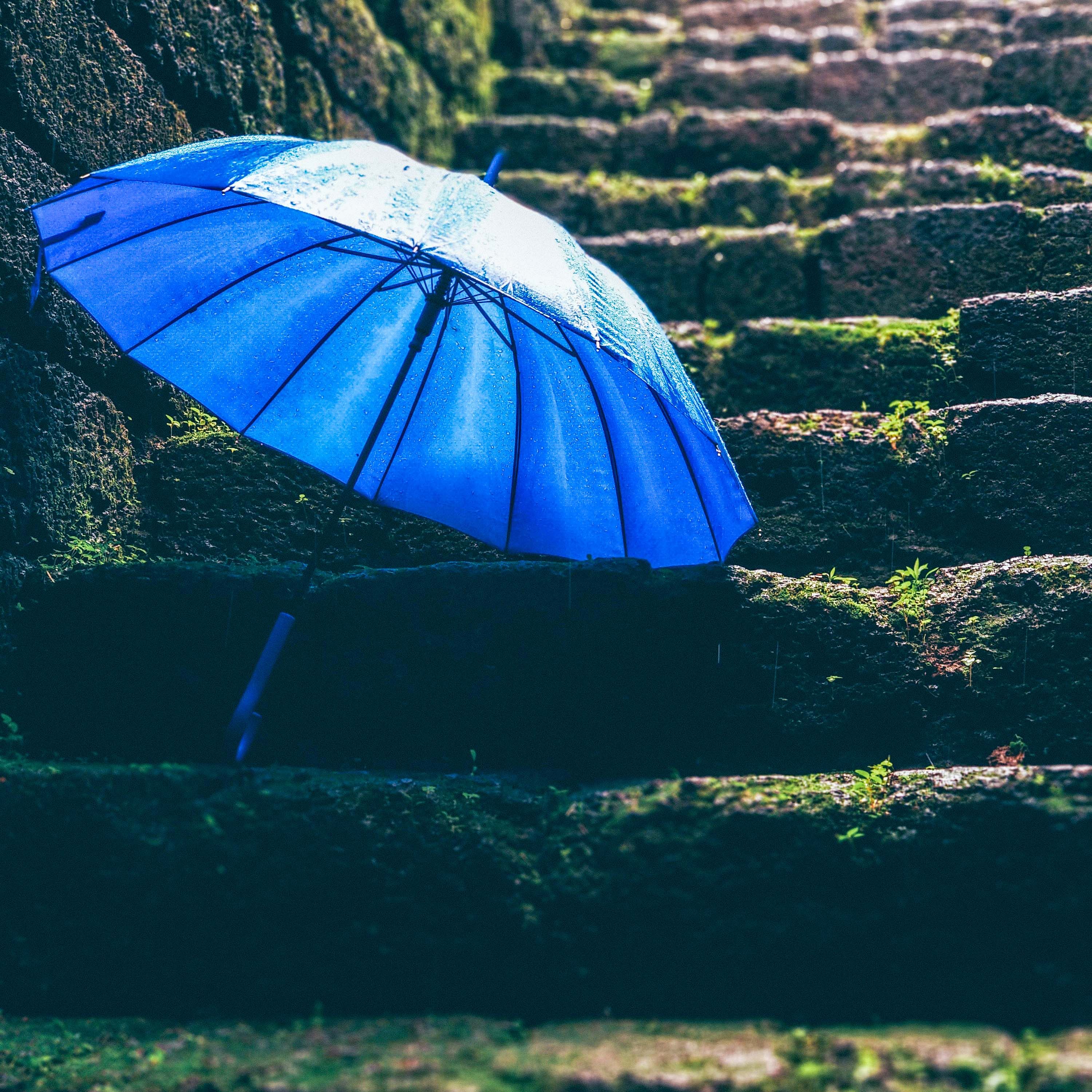 Blue,Sky,Grass,Parachute,Azure,Water,Biome,Umbrella,Cloud,Sunlight