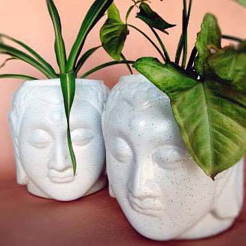 White,Flowerpot,Leaf,Plant,Houseplant,Vase,Flower,Ceramic,Carving,Anthurium