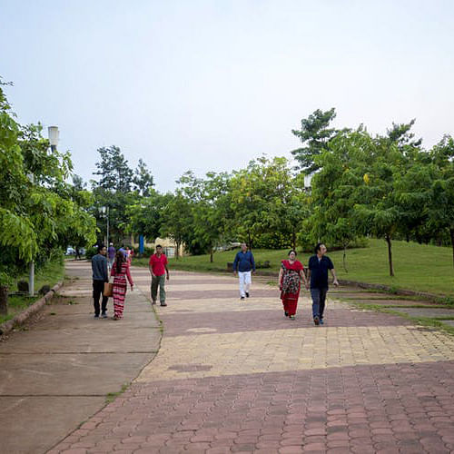 Sky,Public space,Tourism,Morning,Tree,Snapshot,Botany,Leisure,Vacation,Park