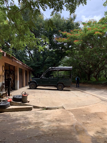 Property,Transport,Tree,Mode of transport,Vehicle,House,Car,Real estate,Architecture,Home