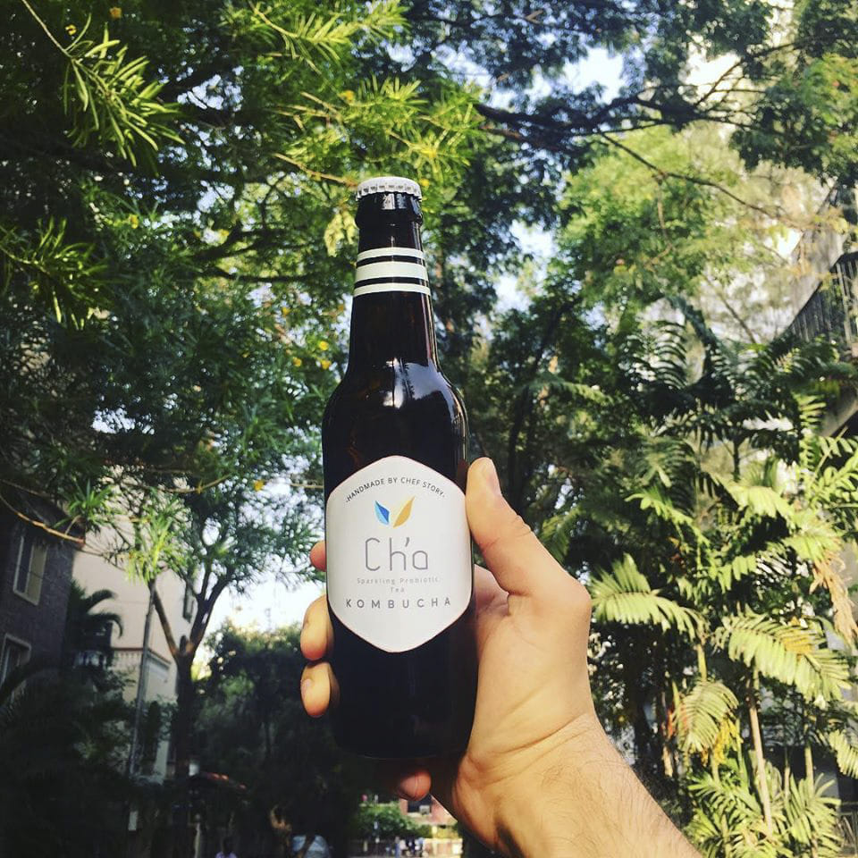 Drink,Liqueur,Beer,Alcoholic beverage,Wheat beer,Tree,Alcohol,Bottle,Distilled beverage,Hand