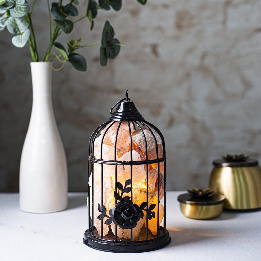 Cage,Iron,Lighting,Lantern,Lamp,Metal,Ceramic,Glass,Plant,Pumpkin