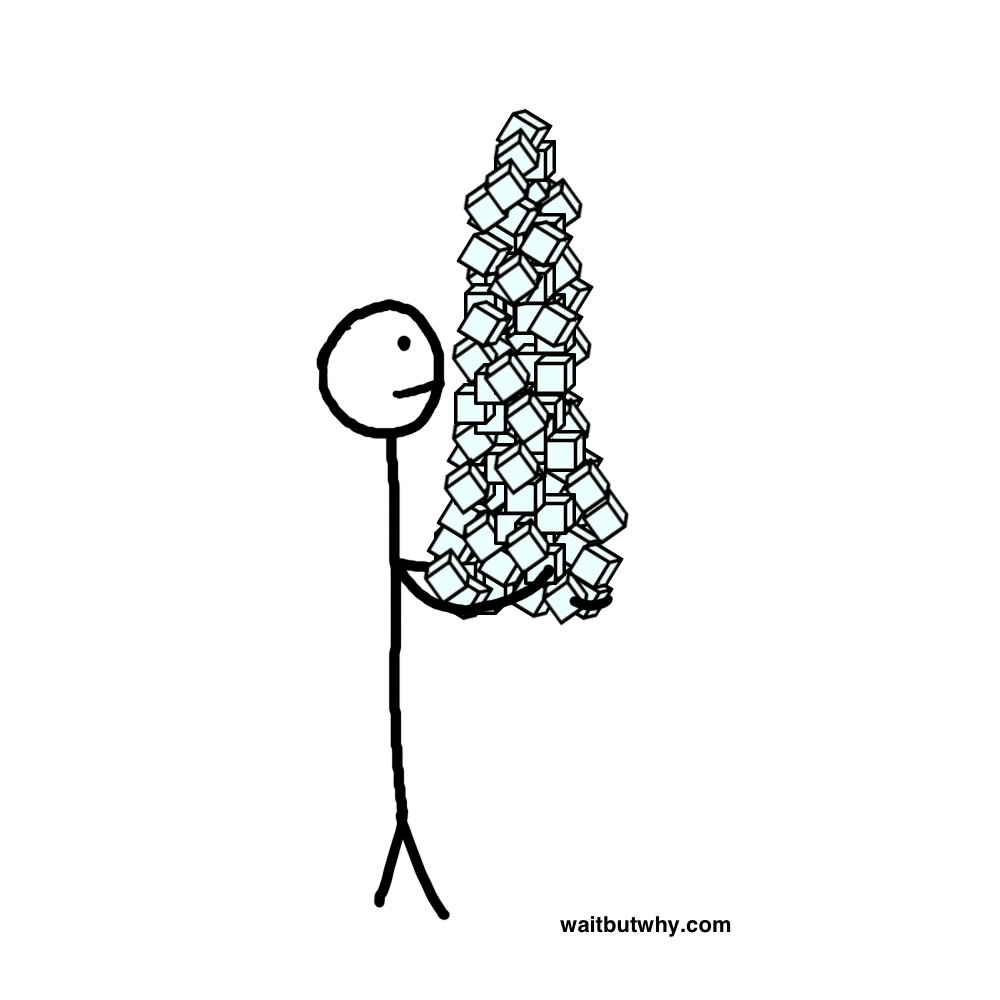 Line art,Plant,Tree,Black-and-white