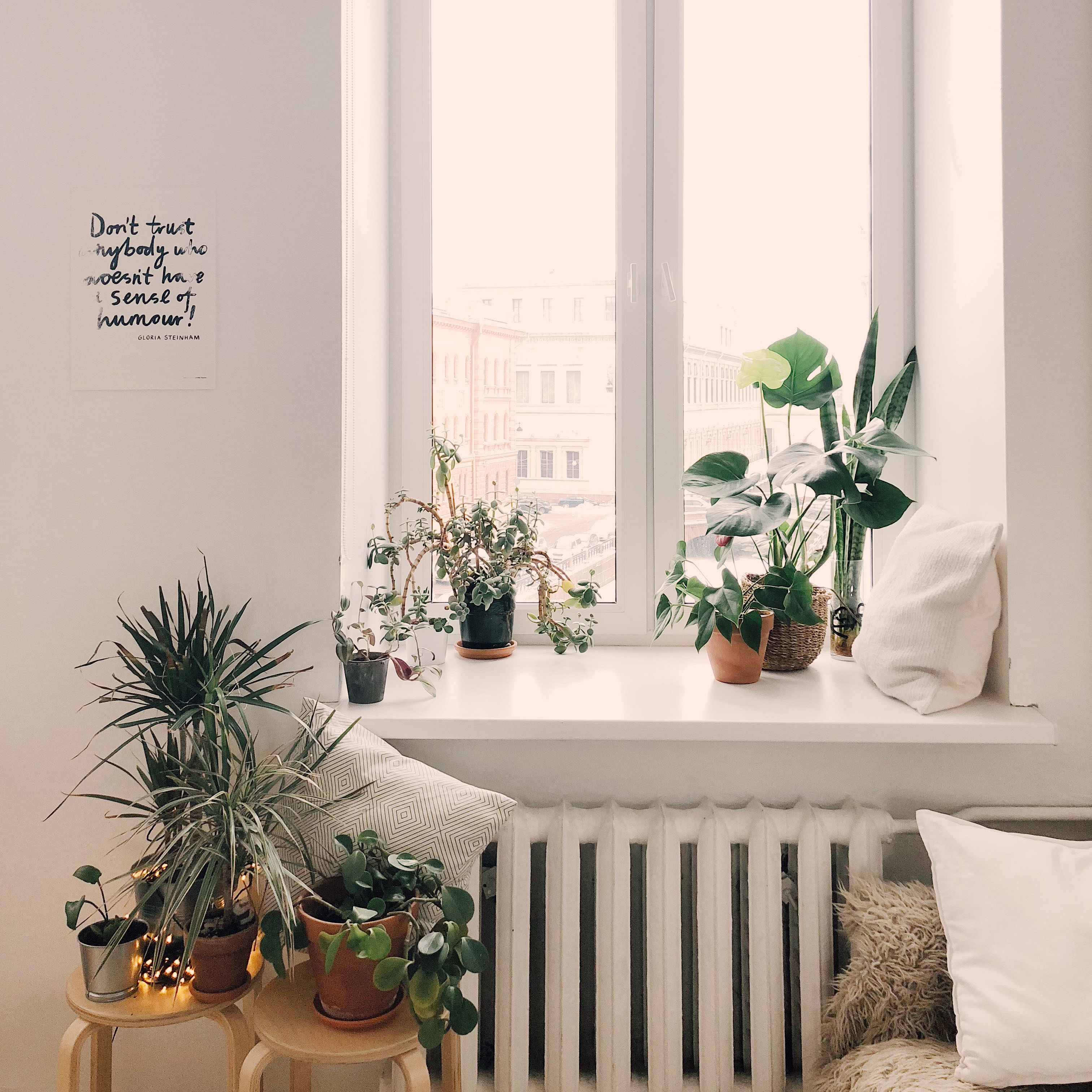 White,Room,Houseplant,Interior design,Furniture,Curtain,Table,Home,Window,Leaf